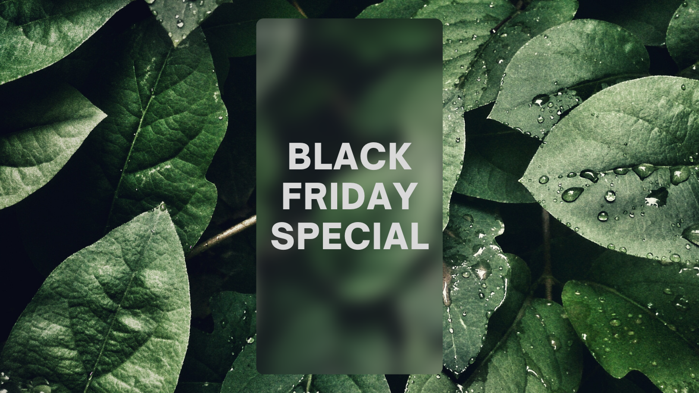 Black Friday Special: Herbs That Magically Boost Your Energy Levels!